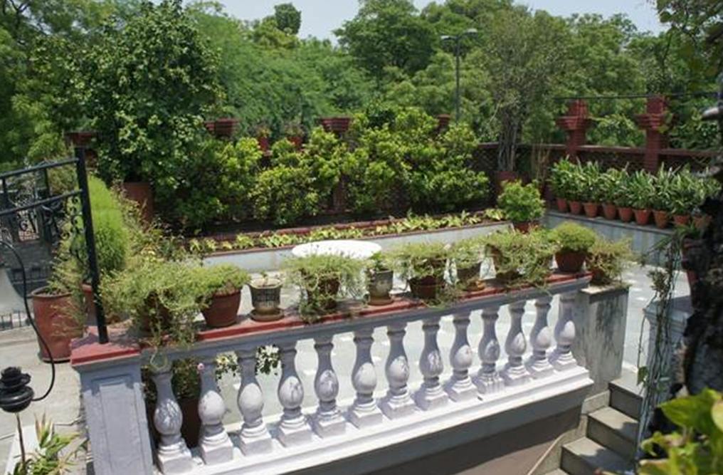 Sirohi House Új-Delhi Kültér fotó
