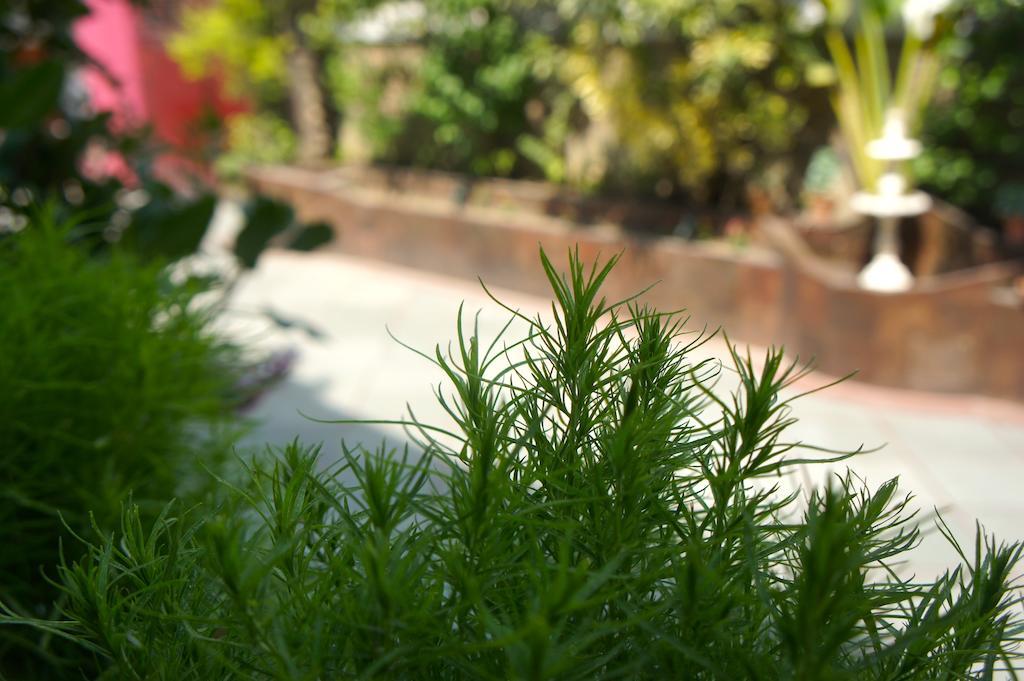Sirohi House Új-Delhi Kültér fotó